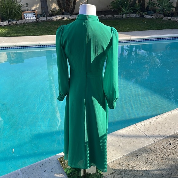 NWOT| Gorgeous green maxi long, sleeve (sheer sleeves) dress | Sz S - Picture 4 of 8